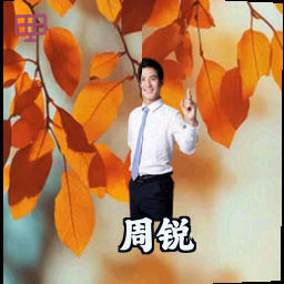 周锐